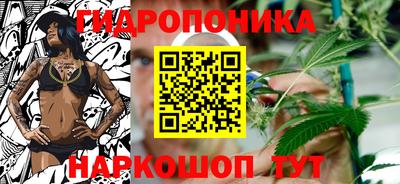 гидропоника Кулебаки
