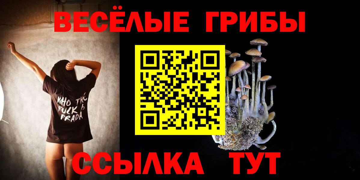 Псилоцибиновые грибы прущие грибы Калининград